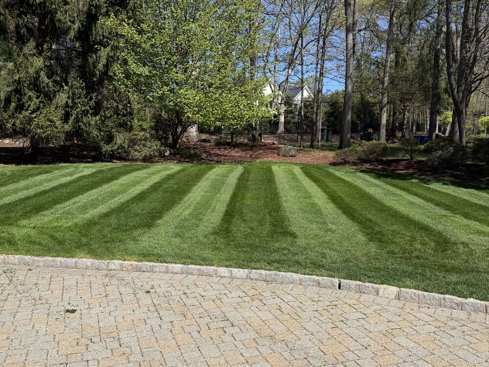 Freshly striped lawn beside a paver driveway